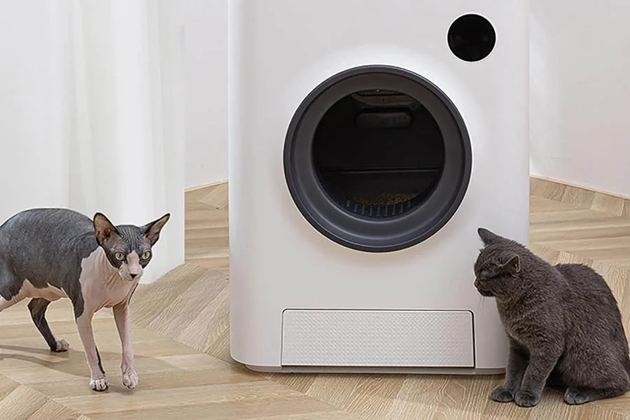 cat auto litter box