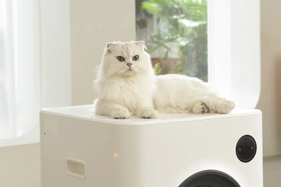 automatic kitten litter box