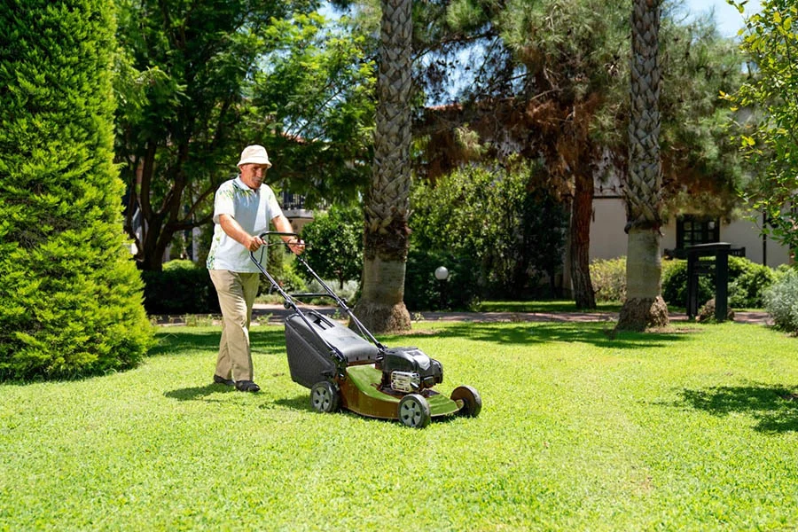 best cordless electric lawn mowers